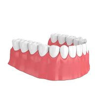 4 - Dentes em posição